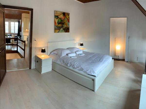 Superbe Duplex Vue Château et Lac : photo 7 de la chambre appartement en duplex