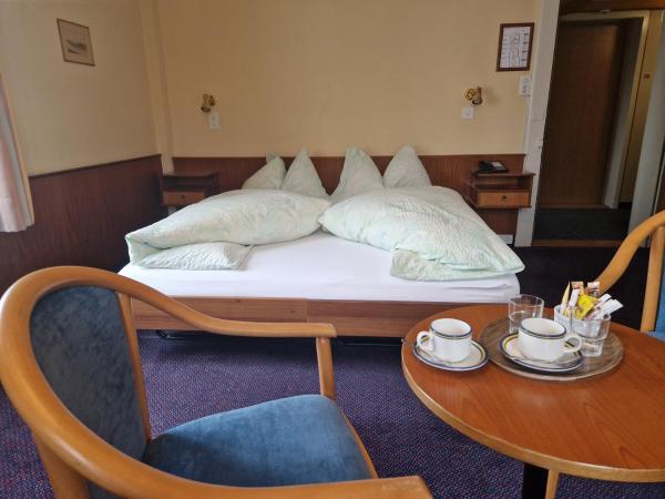 Hotel Du Lac : photo 5 de la chambre chambre double avec vue d'angle ou sur rivière