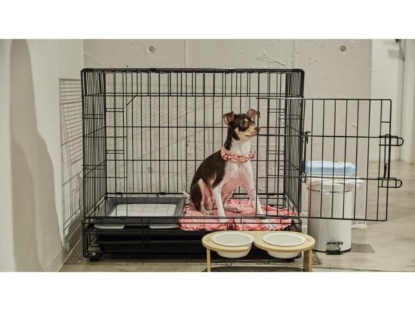 River Side Arashiyama - Vacation STAY 86277v : photo 3 de la chambre studio