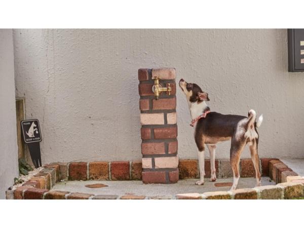 River Side Arashiyama - Vacation STAY 86277v : photo 5 de la chambre studio