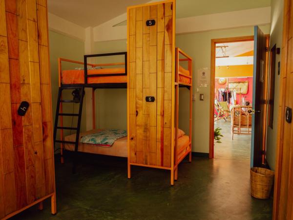 Nopalero Hostel : photo 2 de la chambre lit superposé dans dortoir mixte
