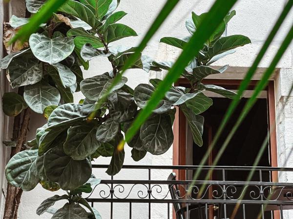 Casa Dei Delfini : photo 6 de la chambre studio supérieur