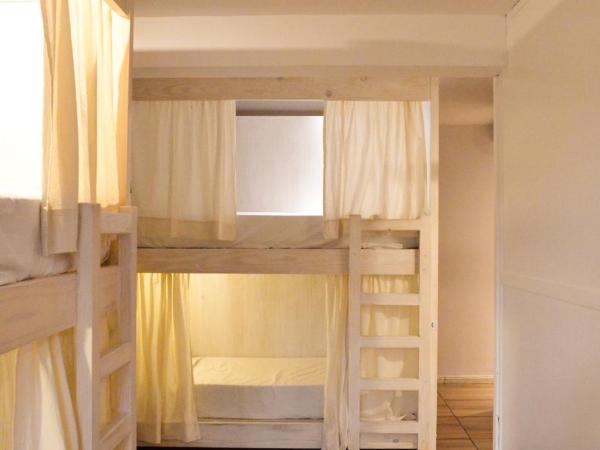 Fuxia Jungle Hostel : photo 3 de la chambre lit dans dortoir mixte de 6 lits