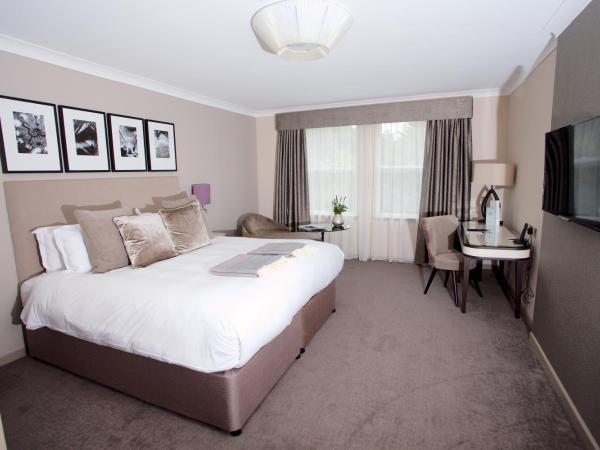 Ardoe House Hotel & Spa : photo 2 de la chambre chambre double standard