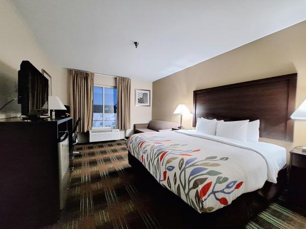 Trident Inn & Suites New Orleans : photo 10 de la chambre chambre lit king-size