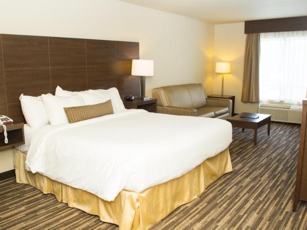 Best Western Plus Dartmouth Hotel & Suites : photo 7 de la chambre chambre lit king-size - accessible aux personnes à mobilité réduite