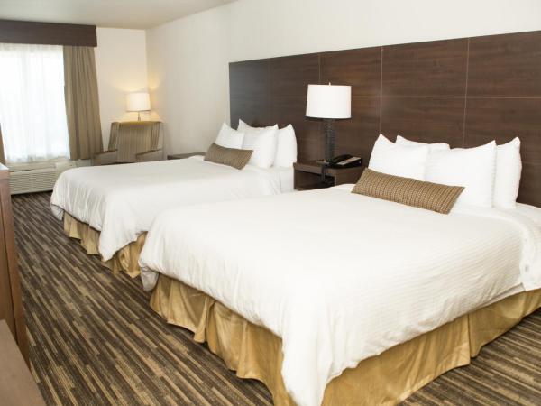 Best Western Plus Dartmouth Hotel & Suites : photo 4 de la chambre chambre affaires avec 2 lits queen-size