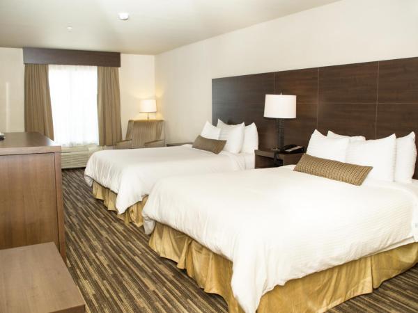 Best Western Plus Dartmouth Hotel & Suites : photo 3 de la chambre chambre 2 lits queen-size - non-fumeurs