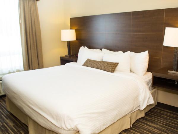 Best Western Plus Dartmouth Hotel & Suites : photo 6 de la chambre chambre lit king-size classe affaires - non-fumeurs