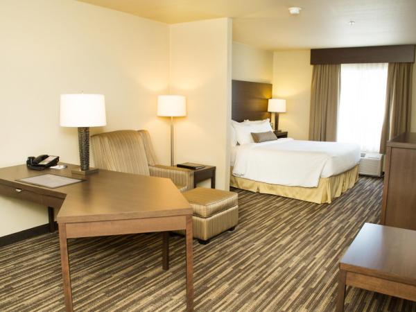 Best Western Plus Dartmouth Hotel & Suites : photo 5 de la chambre chambre lit king-size classe affaires - non-fumeurs