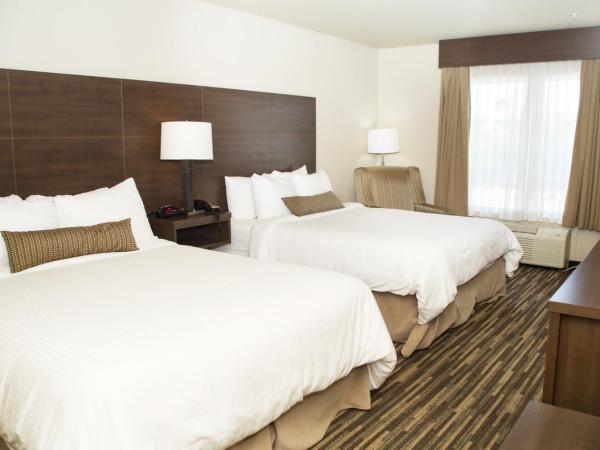 Best Western Plus Dartmouth Hotel & Suites : photo 4 de la chambre chambre 2 lits queen-size - non-fumeurs