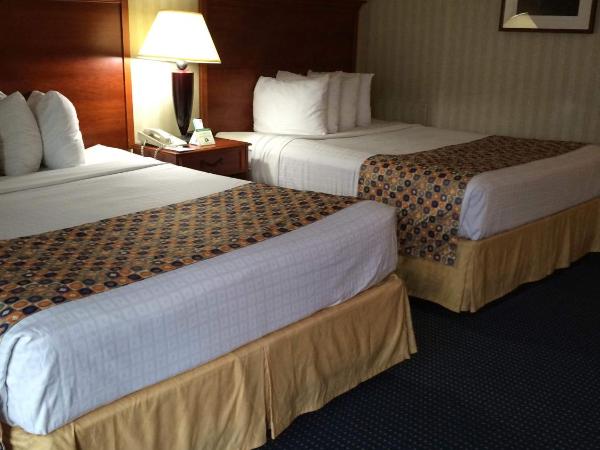 Hotel Pentagon : photo 7 de la chambre chambre lit queen-size avec 2 lits queen-size et douche accessible aux personnes à mobilité réduite