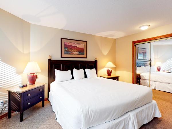The Aspens on Blackcomb : photo 5 de la chambre appartement 2 chambres