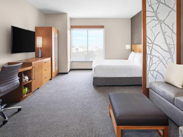 Hyatt Place Jacksonville St. Johns Town Center : photo 4 de la chambre chambre lit king-size avec canapé-lit et douche accessible en fauteuil roulant - accessible aux personnes à mobilité réduite