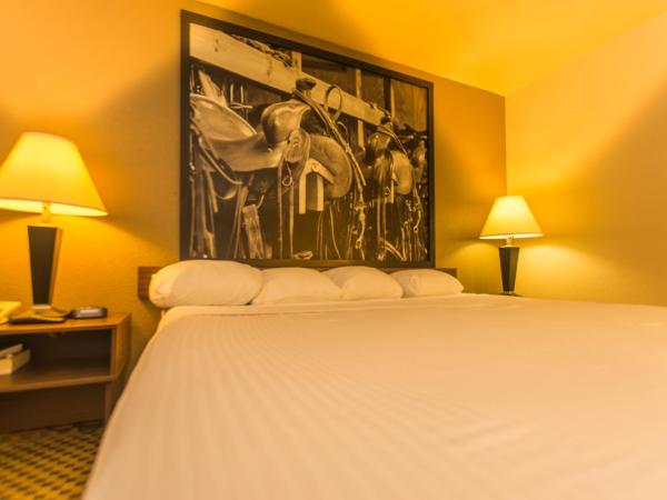 Super 8 by Wyndham Oklahoma Airport Fairgrounds West : photo 3 de la chambre chambre lit king-size - non-fumeurs