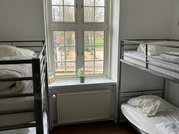 Danhostel Odense City : photo 2 de la chambre chambre quadruple standard