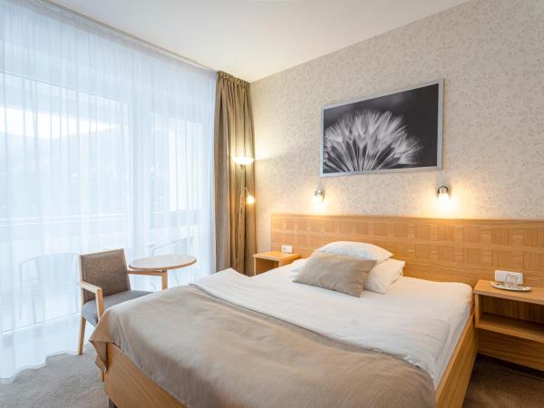 Hotel Běhounek : photo 2 de la chambre single room comfort plus with balcony