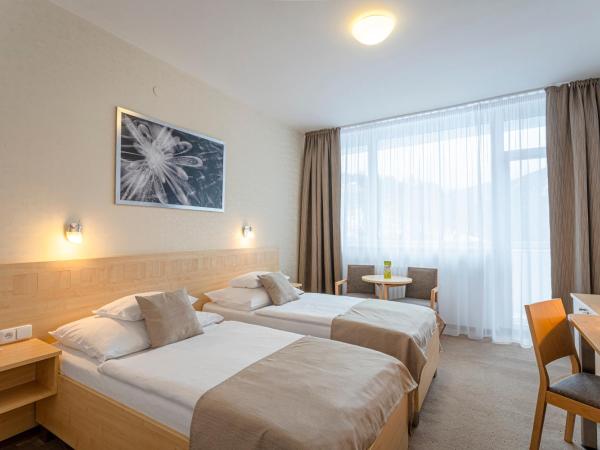 Hotel Běhounek : photo 1 de la chambre suite confort plus