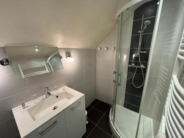 Au Raisin de Bourgogne : photo 2 de la chambre chambre double avec salle de bains privative