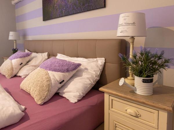 Balaton Fantasy Villa : photo 6 de la chambre appartement 2 chambres