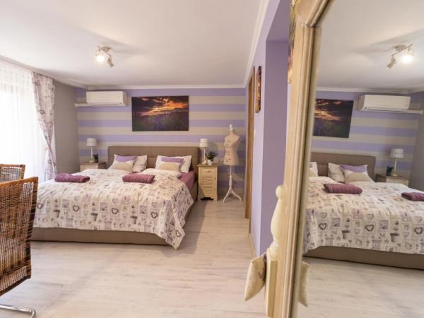 Balaton Fantasy Villa : photo 10 de la chambre appartement 2 chambres