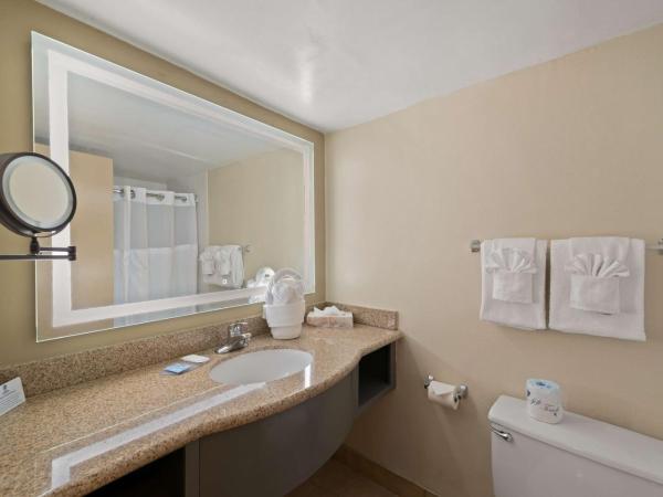 Best Western Orlando Gateway Hotel : photo 5 de la chambre chambre lit king-size avec vue