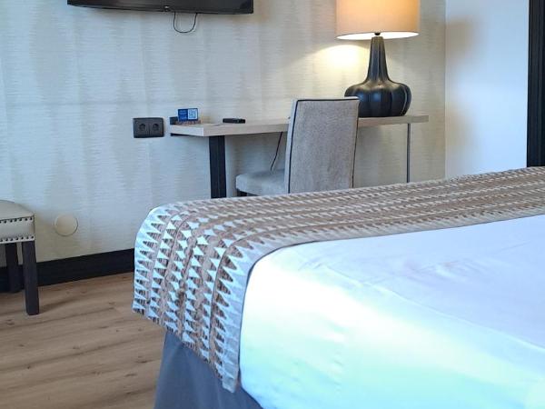 Hotel Bahía : photo 7 de la chambre chambre lits jumeaux - vue sur ville