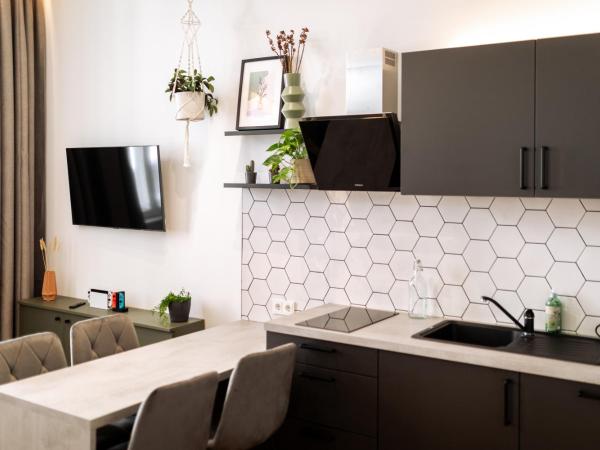 Urban Jungle Apartments : photo 10 de la chambre one-bedroom apartment accessible