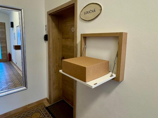 Vila Jáchymov : photo 5 de la chambre appartement
