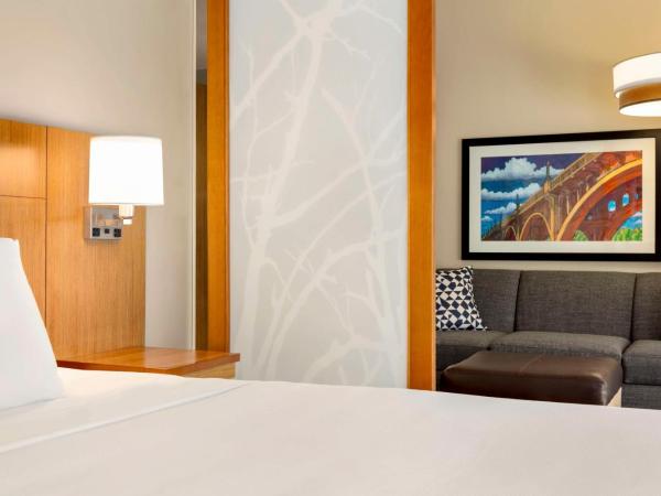 Hyatt Place Columbia/Downtown/The Vista : photo 3 de la chambre studio lit king-size avec canapé-lit