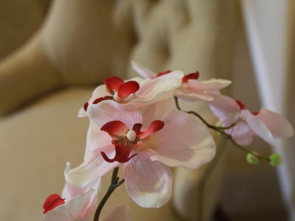 Hotel Intersur Recoleta : photo 7 de la chambre chambre double ou lits jumeaux exécutive avec accès au spa