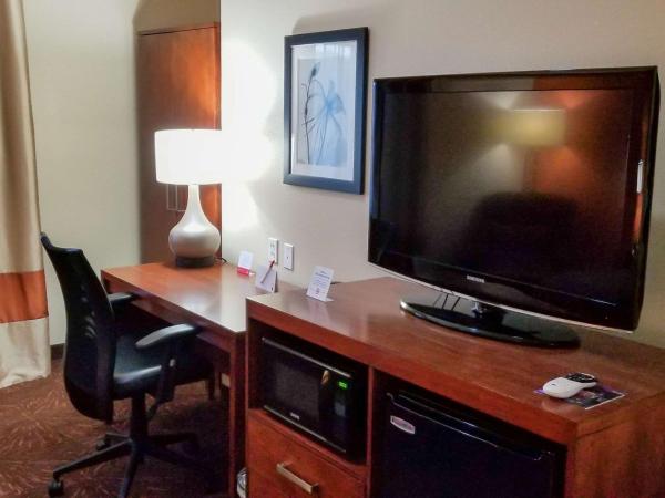 Econo Lodge Inn & Suites East Houston I-10 : photo 7 de la chambre chambre lit king-size - non-fumeurs