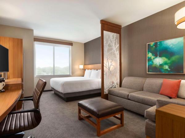 Hyatt Place Virginia Beach Town Center : photo 4 de la chambre chambre lit king-size avec canapé-lit