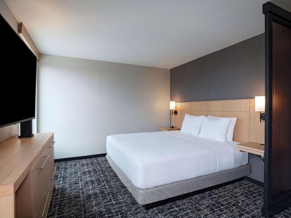 Hyatt Place Austin Lake Travis/Four Points : photo 2 de la chambre chambre lit king-size avec canapé-lit