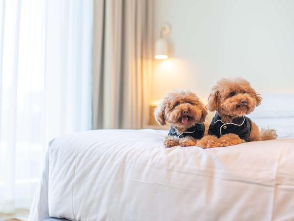 Hyatt Centric Melbourne : photo 3 de la chambre chambre lit king-size avec balcon