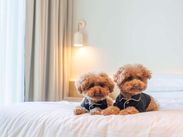 Hyatt Centric Melbourne : photo 9 de la chambre chambre lit king-size