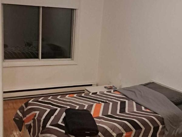 Confort : photo 3 de la chambre chambre simple