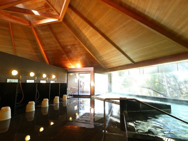 Motoyu Kosenkaku : photo 10 de la chambre chambre standard de style japonais