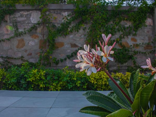 The Peace- A 2BHK Luxury Private Pool Villa : photo 1 de la chambre villa avec piscine privée