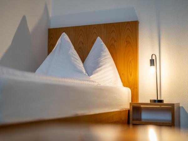 Merian Basel - Self Check-in : photo 6 de la chambre chambre simple