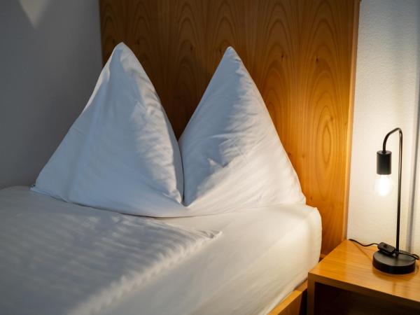 Merian Basel - Self Check-in : photo 10 de la chambre chambre simple