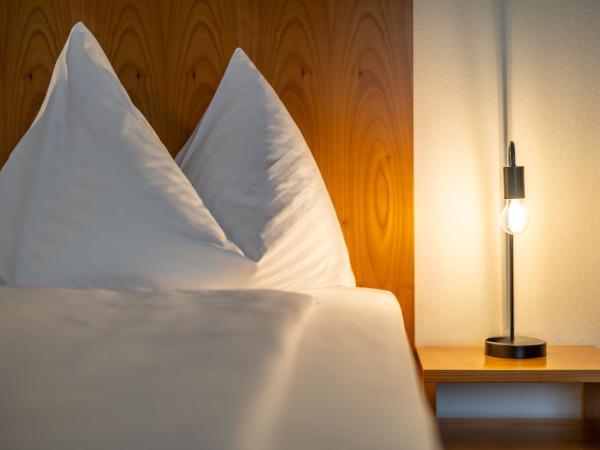 Merian Basel - Self Check-in : photo 10 de la chambre chambre simple deluxe