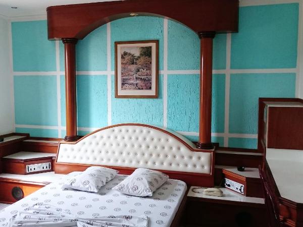 North Palace Hotel : photo 3 de la chambre chambre double principale