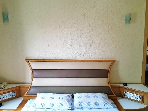 North Palace Hotel : photo 3 de la chambre suite principale avec baignoire spa