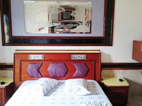 North Palace Hotel : photo 3 de la chambre suite deluxe avec baignoire spa