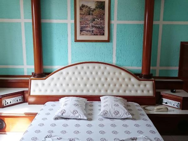 North Palace Hotel : photo 4 de la chambre chambre double principale