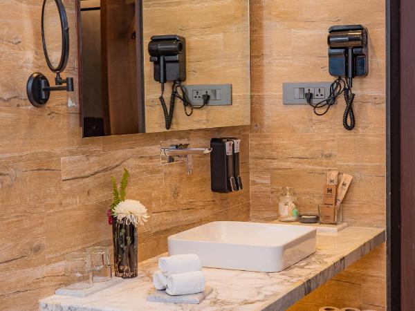 Hotel Barahi Kathmandu : photo 3 de la chambre chambre double deluxe