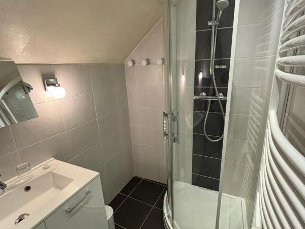 Au Raisin de Bourgogne : photo 4 de la chambre chambre double avec salle de bains privative