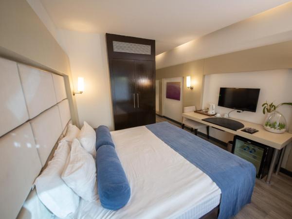 MY Hotel : photo 2 de la chambre chambre d'affaires