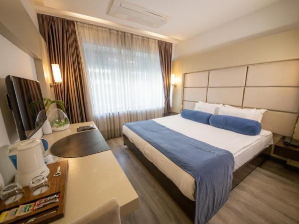 MY Hotel : photo 1 de la chambre chambre d'affaires